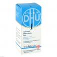 Biochemie Dhu 1 Calcium Fluorat.d 6 Tabletten