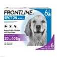 Frontline Spot On H 40 Vet. Loesung