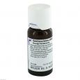 Gentiana Lutea D 1 Dilution
