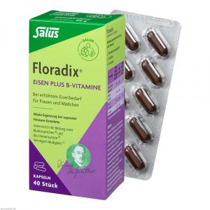 Floradix Eisen Plus B Vitamine Kapseln
