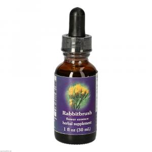 Rabbitbrush Fes Kalifornische Bluetenessenz