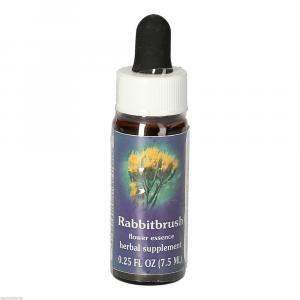 Rabbitbrush Fes Kalifornische Bluetenessenz