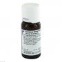 Gentiana Lutea D 1 Dilution
