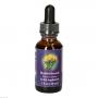 Rabbitbrush Fes Kalifornische Bluetenessenz