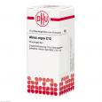 ABIES NIGRA C 12 Globuli Ind.Fert.