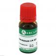 ABROTANUM LM 12 Dilution