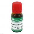 ABROTANUM LM 18 Dilution