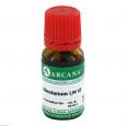 ABROTANUM LM 6 Dilution