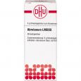 ABROTANUM LM XXX Globuli