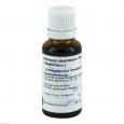 ABSINTHIUM D 2 Hanosan Dilution