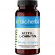 ACETYL-L-CARNITIN 340 mg Kapseln