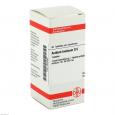 ACIDUM LACTICUM D 6 Tabletten