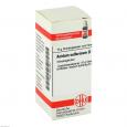 ACIDUM SULFURICUM D 10 Globuli
