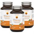 ACURMIN Phytholistic Bio-Curcuma-Extrakt Kapseln