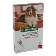 ADVANTAGE 250 Lösung f.Hunde 10-25 kg