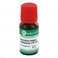 AESCULUS HIPPOCASTANUM LM 12 Dilution