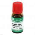 AESCULUS HIPPOCASTANUM LM 6 Dilution