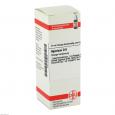 AGARICUS D 6 Dilution
