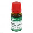 AGARICUS MUSCARIUS LM 18 Dilution