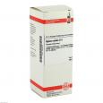 AGNUS CASTUS D 3 Dilution