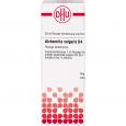 ALCHEMILLA VULGARIS D 4 Dilution