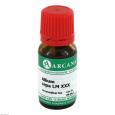 ALLIUM CEPA LM 30 Dilution