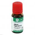 ALLIUM CEPA LM 6 Dilution