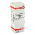 ALLIUM SATIVUM D 4 Dilution
