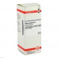 ALLIUM SATIVUM D 6 Dilution