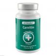AMINOPLUS Carnitin Kapseln