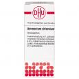 AMMONIUM CHLORATUM C 1000 Globuli Ind.Fert.