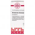 AMMONIUM CHLORATUM C 6 Globuli Ind.Fert.