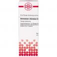 AMMONIUM CHLORATUM D 6 Dilution