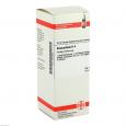 ANACARDIUM D 4 Dilution