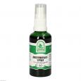 ANDORNKRAUT Spray