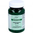 ANDROGRAPHIS 400 mg Kapseln