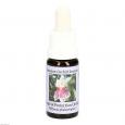 ANGEL-OF-Protection-Orchid Essenz Tropfen