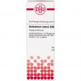 ANHALONIUM lewinii D 30 Dilution