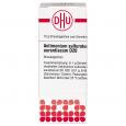 ANTIMONIUM SULFURATUM aurant.D 20 Glob.Ind.Fert.