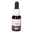 ANTISEPTIC Bush australische Living Essenz Tropfen