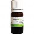 APACARE Zahnlack Pinselflasche