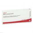 APIS EX animale GL D 15 Ampullen