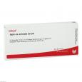 APIS EX animale GL D 5 Ampullen