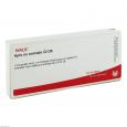 APIS EX animale GL D 6 Ampullen