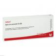 APIS EX animale GL D 8 Ampullen