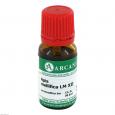 APIS MELLIFICA LM 12 Dilution