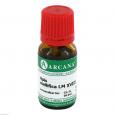 APIS MELLIFICA LM 18 Dilution