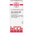 APIS MELLIFICA LM I Dilution Ind.Fert.