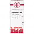 APIS MELLIFICA LM VI Dilution