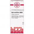 APIS MELLIFICA LM XII Dilution